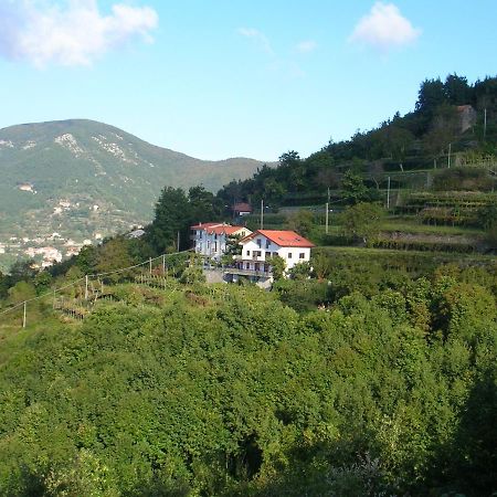 Vila Agriturismo Il Castagno Agerola Exteriér fotografie