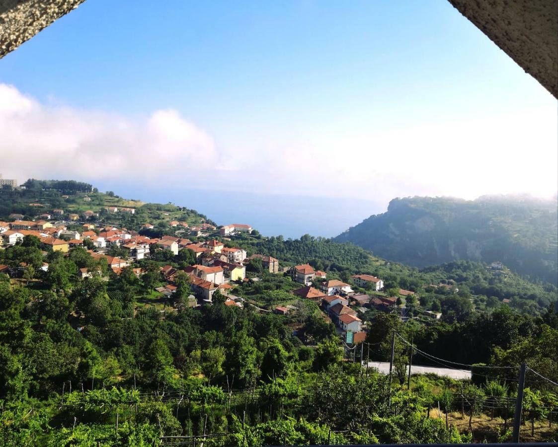 Vila Agriturismo Il Castagno Agerola Exteriér fotografie