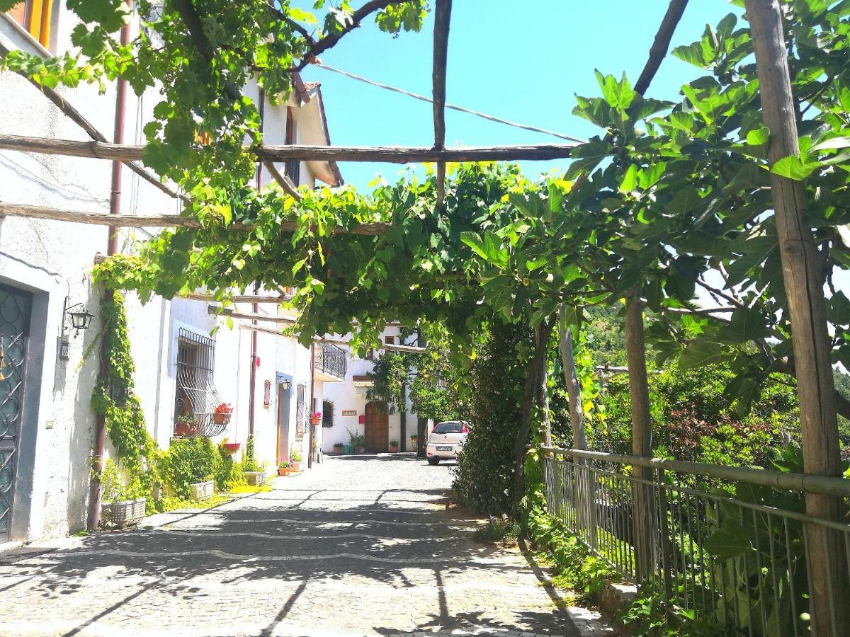 Vila Agriturismo Il Castagno Agerola Exteriér fotografie