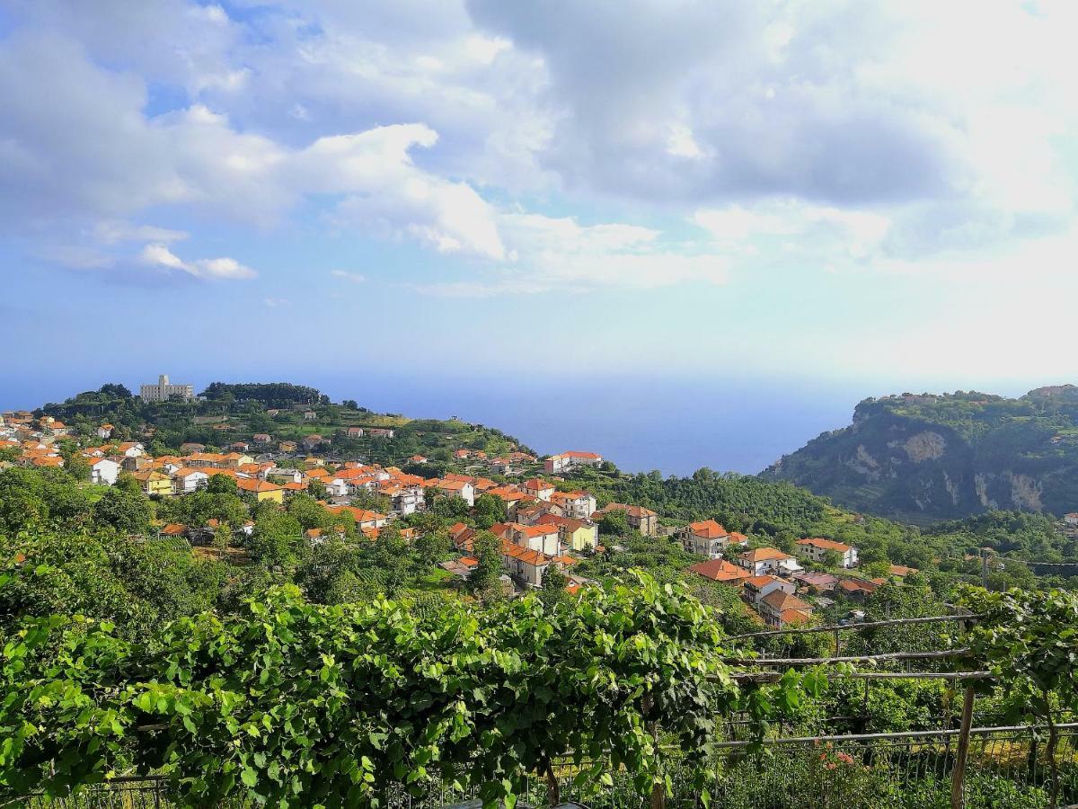 Vila Agriturismo Il Castagno Agerola Exteriér fotografie